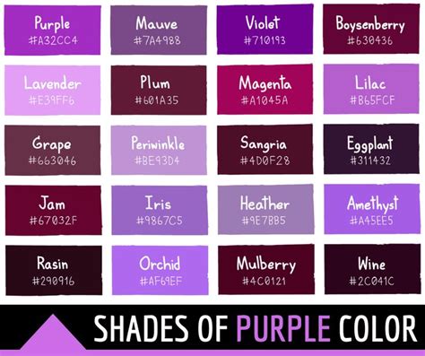 Shades of Purple | Purple colour shades, Purple color chart, Purple color code