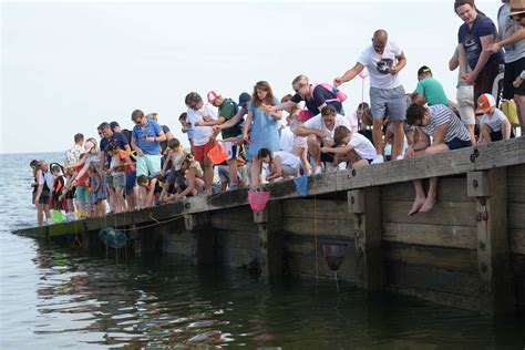 How To Take The Kids Crabbing In Kent This Summer