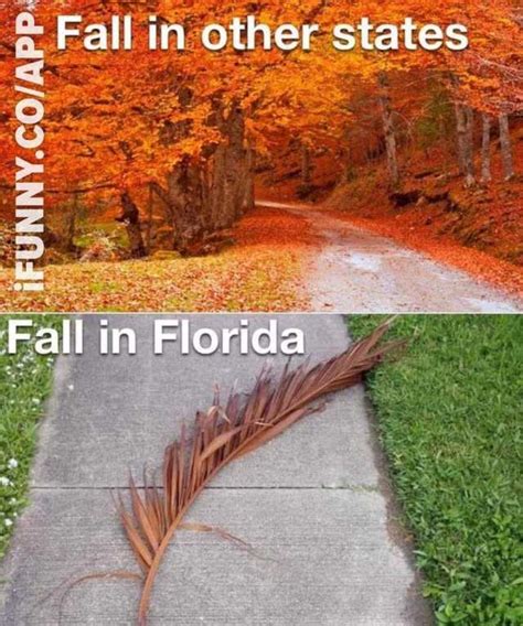 Autumn in Florida – John Greco Author/Photographer