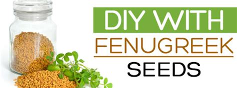 Fenugreek Seed 5 Splendid DIY Ideas For A Lustrous Hair And Ravishing