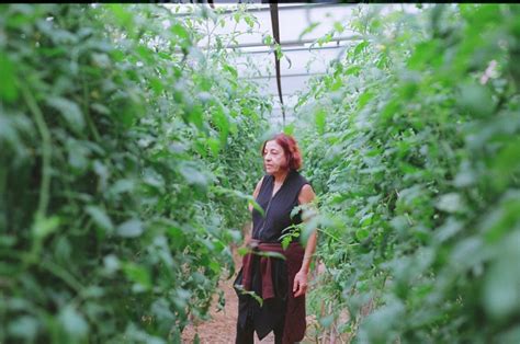 Houston S Farmers Market Queen The Woman Who S Changed City