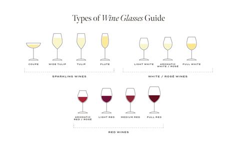 How To Choose The Right Wine Glass Guide The Wine Cellarage