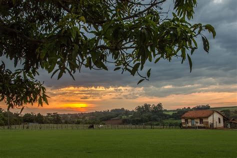 Consejos Para Vivir En El Campo