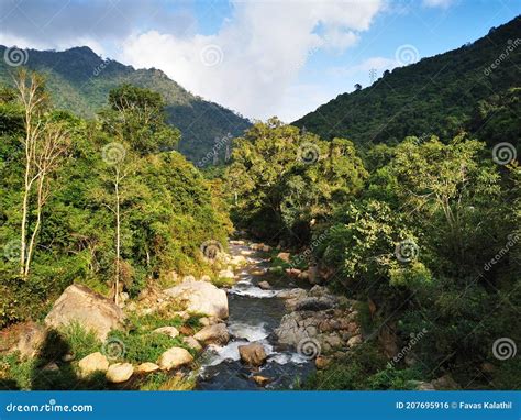 River Flowing Through Nilgiri Mountains Tamilnadu India Stock Photo