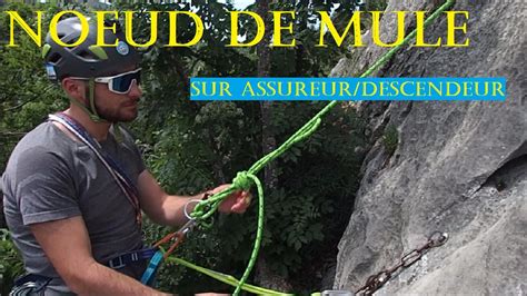 Nœud de Mule sur assureur descendeur Tutto Alpinisme 40 EVOLUTION