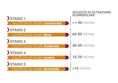 La Malattia Renale Cronica Flavis