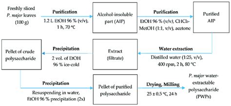 Extraction Process Of P Major Water Extractable Polysaccharide Pwps Download Scientific