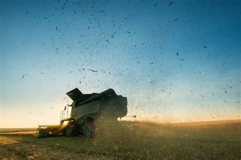 Combine Harvester Working On A Wheat Crop At Sunset Stock Photo Image