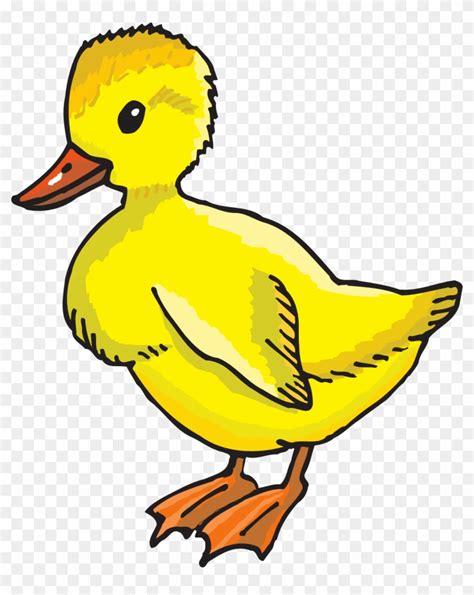 Yellow Duckling Clip Art Duckling Clipart Full Size PNG Clipart