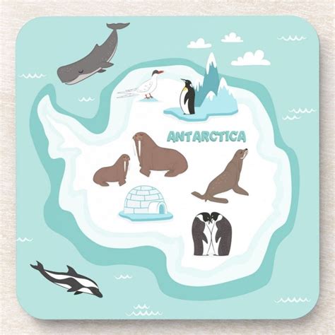 Kids Animal Map of Antarctica Coaster | Informacion de animales, Animales, Unidad didactica