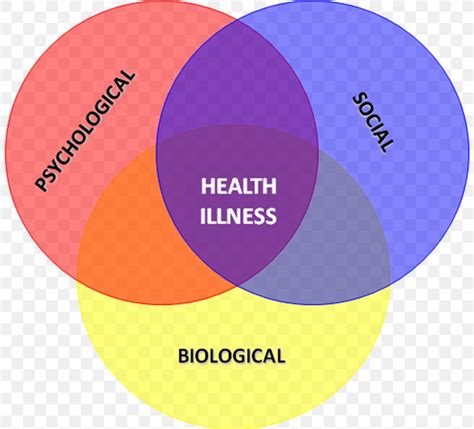 The Biopsychosocial Model Of Health