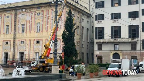 Albero Di Natale In Piazza De Ferrari Iniziato L Allestimento