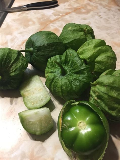 My first tomatillo plant. : r/gardening