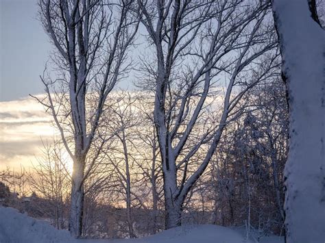 A Wonderful Winter Landscape in Beautiful Bavaria Stock Image - Image ...