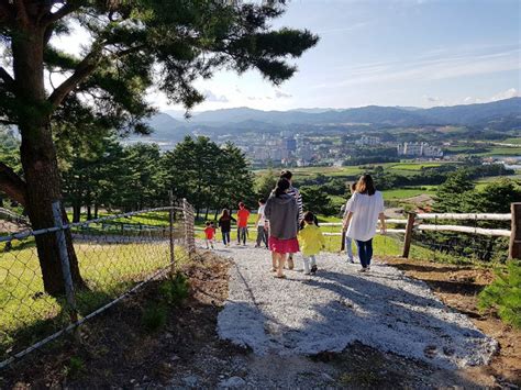 대관령알프스양떼목장 관광 정보와 주변 관광 명소 및 근처 맛집 여행 정보