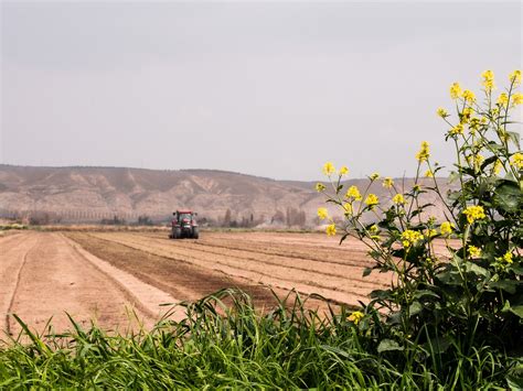 Economica net Tranzacție cu terenuri agricole de 4 milioane de lei