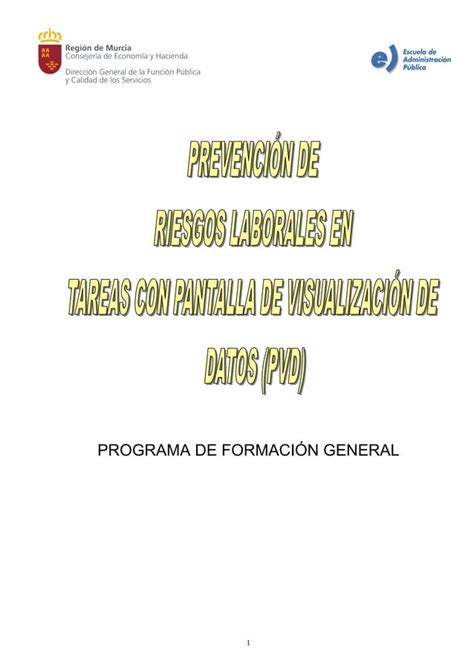 Prevenci N De Riesgos Laborales En Tareas Con Pvd Pdf