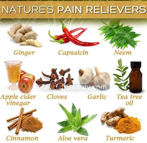 17 Best images about Natural pain relievers on Pinterest | Back strain ...