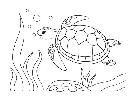 Vector illustration of a turtle. Suitable for coloring book, coloring ...