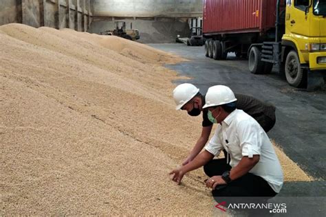 Kemendag Harga Kedelai Dunia Naik Tahu Tempe Nasional Stabil Antara