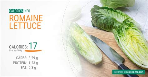 Romaine Lettuce Calories And Nutrition (100g), 43% OFF