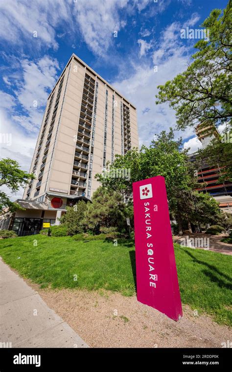 sakura square  res stock photography  images alamy