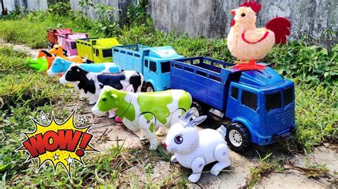 Mobil Truk Oleng Hewan Angkut Induk Sapi Warna Warni Bebek Gajah