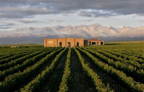 8 Viñedos en Mendoza Pasión y amor por el vino CONOCELOS