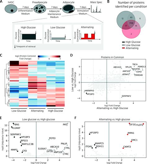 Adipose Microtissue On Chip A 3D Cell Culture Platform For