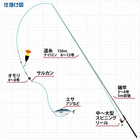 シーバス釣りの仕掛けは何？初心者向けに種類別に準備の仕方や選び方を解説！ 釣りのポイント