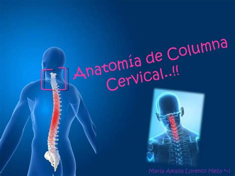 Anatomia Columna Cervical PPT