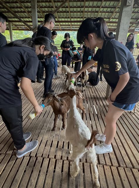 Walking distance finder tools are helping city dwellers save money 10