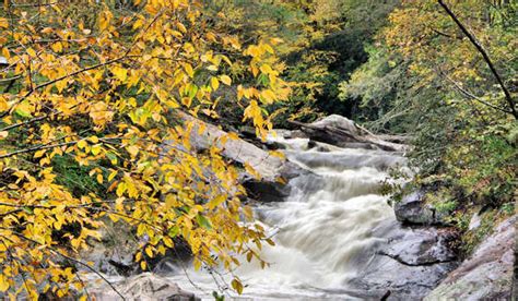 Asheville NC Fall Foliage Color 2017