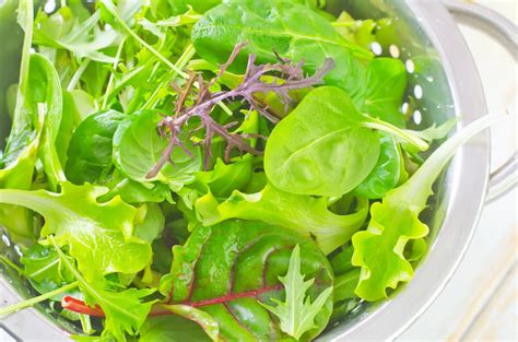 Receta De Ensalada De Hojas Verdes Paso A Paso Comedera Recetas