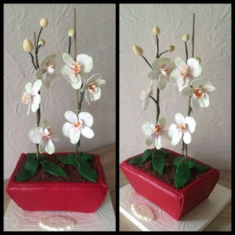 Motivtorte Fun Cake Fondant Blumentopf Orchidee Orchideen Torten