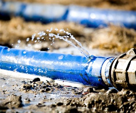 How to fix a garden hose: easy ways to put a stop to leaks | Homes and