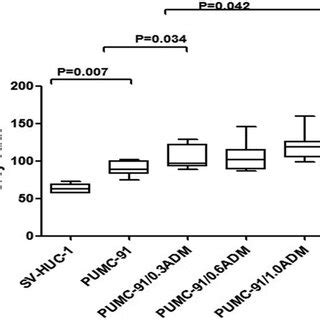 The Differential Expression Of Annexin A Between The Normal Bladder