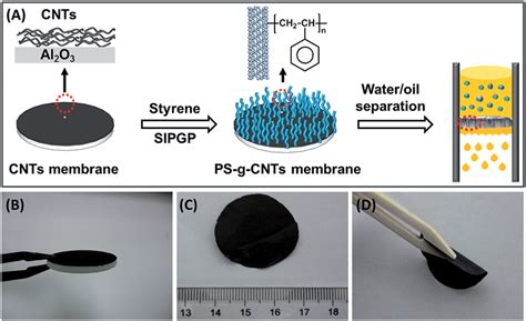 A Schematic Illustration Of The Fabrication Of Ps G Cnts Membrane And