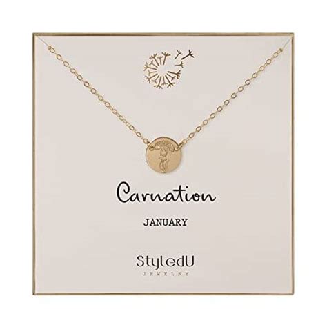 Amazon StyledU January Birth Flower Necklace For Women 14K Gold