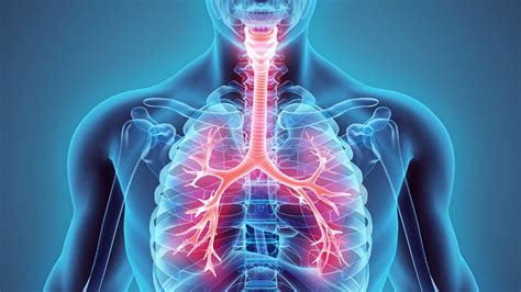 Fisiopatolog A Cardio Respiratoria Grinama