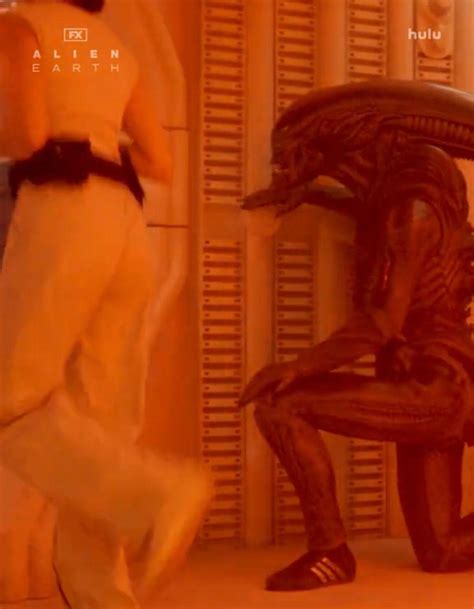 Upcoming - The Xenomorph on set of ‘ALIEN: EARTH’ 👾 | Facebook