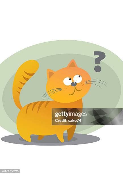 Cat Question Mark Photos And Premium High Res Pictures Getty Images