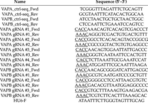 Primer And Oligonucleotide Sequences Compatible 5 Overhangs For