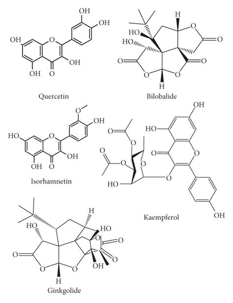 Chemical Structures Of Ginkgo Bilobas Key Bioactive Compounds