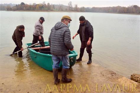 Empoissonnement De Novembre 2020 AAPPMA De Lavaur Tarn