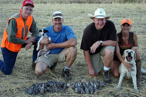 Quail Hunting in California, Kirk Portocarrero Professional Guide