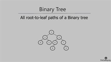 All Root To Leaf Paths Of A Binary Tree Procoding