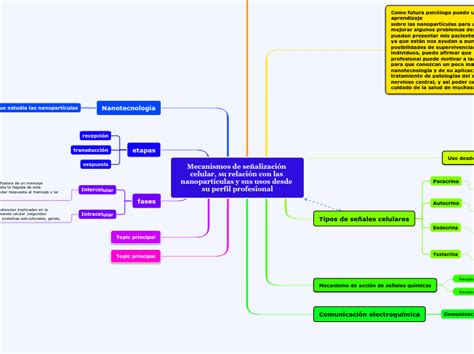 Mecanismos De Se Alizaci N Celular Su Rel Mind Map