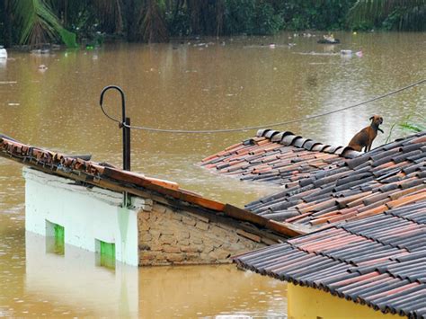 Cidades atingidas por enchentes em Pernambuco terão prioridade para