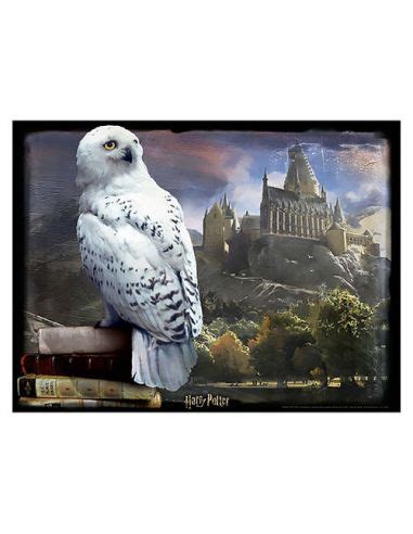 Puzzle Lenticular Hedwig 500 Piezas Harry Potter